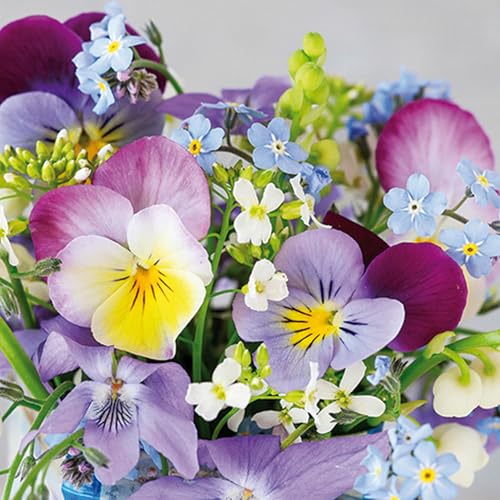 ti-flair Servietten Papier 33x33cm 3-lagig 20 Stück - hochwertig & nachhaltig - Einweg Frühlingsservietten mit Stiefmütterchen, Vergissmeinnicht & Wildblumen - Papierservietten für Tischdeko Hochzeit ti-flair Servietten Papier 33x33cm 3-lagig 20 Stück - hochwertig & nachhaltig - Einweg Frühlingsservietten mit Stiefmütterchen, Vergissmeinnicht & Wildblumen - Papierservietten für Tischdeko Hochzeit von ti-flair