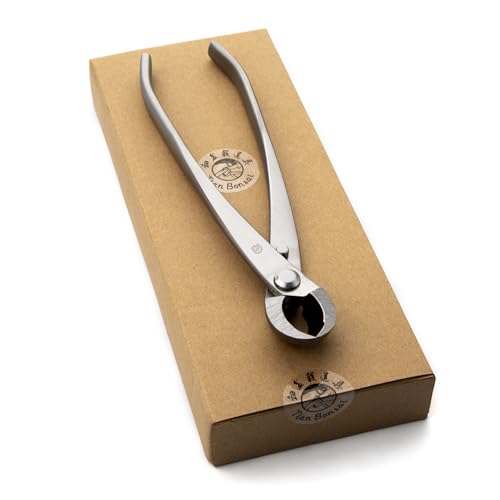 tianbonsai Bonsai Tools 205 mm Rundkantenschneider Multifunktionaler Bonsaischneider mit sowohl gerader Kante als auch runder Kante tianbonsai Bonsai Tools 205 mm Rundkantenschneider Multifunktionaler Bonsaischneider mit sowohl gerader Kante als auch runder Kante von tianbonsai
