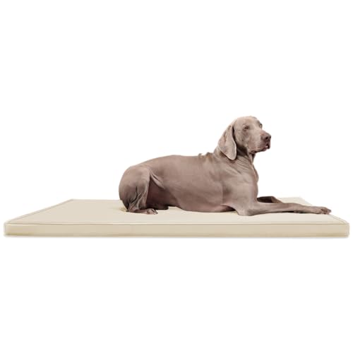 tierlando® Carlos Ortho-Medic Orthopädische Hundematte Kunstleder Visko Hundebett Matratze Größe: L - 100x80cm - CA4 | Farbe: 05 Creme von tierlando