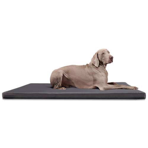 tierlando® Carlos Ortho-Medic Orthopädische Hundematte Kunstleder Visko Hundebett Matratze Größe: M - 80x60cm - CA3- | Farbe: 02 Graphit von tierlando