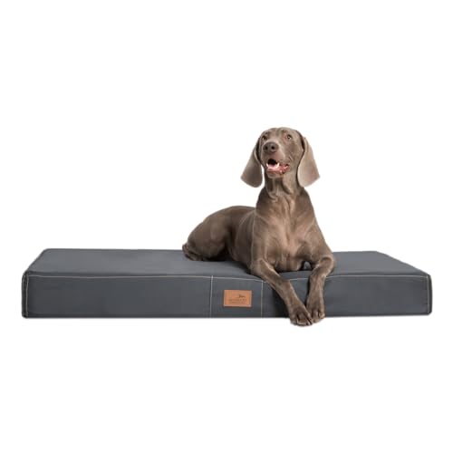 tierlando® Mobile Hundematratze Hugo Basic | Gehobene Stabilität & Qualität! | Anti-Haar Polyester | | XL 120 x 90 x 13 cm | Graphit Grau von tierlando