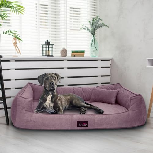 tierlando® Orthopädisches Hundebett Bruce Velours Abnehmbar Waschbar Mittelgroße Große Hunde L XL Hundesofa Hundekorb Viereckig (10 Lavendel, 110x90cm) von tierlando