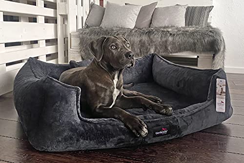 tierlando® Orthopädisches Hundebett Franklin | Hochwertiges Hundesofa | Kuscheliger Teddy-Stoff M+ (90x75 cm) | 40 Antrazit von tierlando