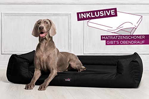 tierlando® Orthopädisches Hundebett Goofy inkl. Matratzenschoner für große Hunde Polyester Waschbar Hundesofa XL XXL XXXL XL+ 130cm | 03 Schwarz von tierlando