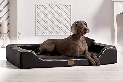 tierlando® Orthopädisches Hundebett Melody Latex Kunstleder und High-Tech Velours (MDY5-TL | 120x85 cm (Innen 105x75 cm), 03 | Schwarz) von tierlando