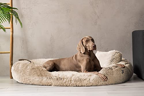 tierlando® Orthopädisches Hundebett Pamela Shaggy – kuschelig, flauschig, waschbar, herausnehmbar Langer Plüsch, Langflor Größe: 145x105cm | Farbe: 14 Beige von tierlando