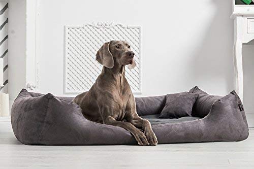 tierlando® Orthopädisches Hundebett Pluto Ortho VISCO Viscoschaum aus weichem Velours Größe: PLV3 90x75 cm | B Farbe: 02 Graphit von tierlando