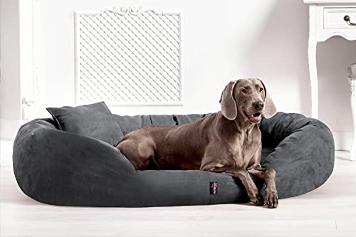 tierlando® Orthopädisches Hundebett Sammy | High-Tech-Velours | Dicke Umrandung | L - XXXXL Hundesofa Grau Gr. XXXL 170 cm von tierlando