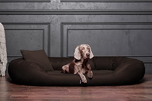 tierlando® Orthopädisches Hundebett Sammy | Kunstleder-Velours-Mix | Dicke Umrandung | L - XXXXL Hundesofa Braun Gr. XXXL 170 cm von tierlando