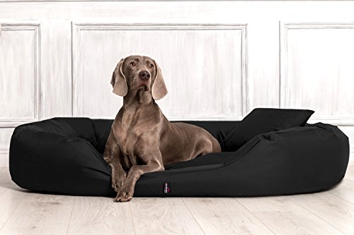 tierlando® Orthopädisches Hundebett Sammy - Robuster Polyester - Dicke Umrandung - Gr. L - XXXXL Hundesofa Hundekörbchen, mittelgroße und große Hunde, waschbar Gr. XXXXL 220 cm Schwarz von tierlando