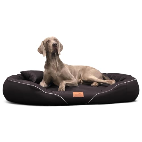 tierlando® Orthopädisches Hundebett Tiffany Easy CLEAN aus Kunstleder – für große Hunde (XL XXL) – allergikerfreundlich mit Anti-Haar-Oberfläche und Memory Foam – Größe: 115x90 cm Farbe: 01 Braun von tierlando