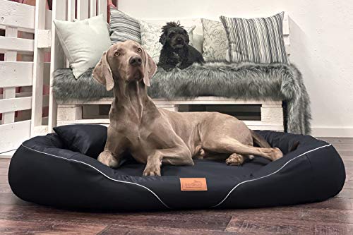 tierlando® Orthopädisches Hundebett Tiffany Easy-Clean | Große Hunde XL XXL | Allergiker Anti-Haar Kunstleder | Memory Foam XL | Schwarz von tierlando