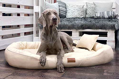 tierlando® Orthopädisches Hundebett Tiffany Easy-Clean | Große Hunde XL XXL | Allergiker Anti-Haar Kunstleder | Memory Foam XXL | Creme von tierlando