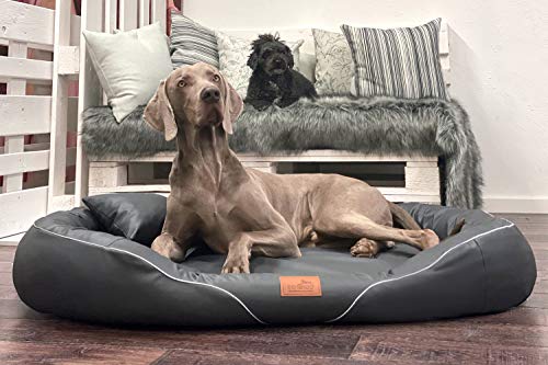 tierlando® Orthopädisches Hundebett Tiffany Easy-Clean | Große Hunde XL XXL | Allergiker Anti-Haar Kunstleder | Memory Foam XXL | Graphit von tierlando