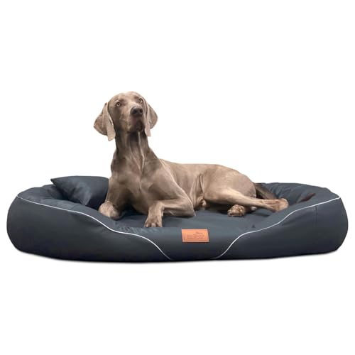 tierlando® Orthopädisches Hundebett Tiffany Easy CLEAN aus Kunstleder – für große Hunde (XL XXL) – allergikerfreundlich mit Anti-Haar-Oberfläche und Memory Foam – Größe: 145x105 cm Farbe: 02 Graphit von tierlando