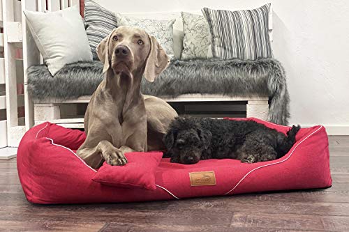 tierlando® Orthopädisches Hundebett William Couture | Bequemes Hundebett | Waschbar | Memory Foam | Kuscheliges Hundesofa M+ | Rot von tierlando