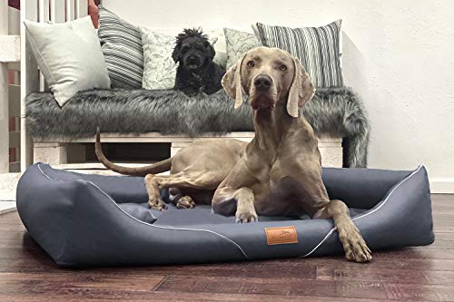 tierlando® Orthopädisches Hundebett William Easy-Clean | Luxus Hundesofa Kunstleder | Allergiker Anti-Haar | Memory Foam M+ | Graphit von tierlando