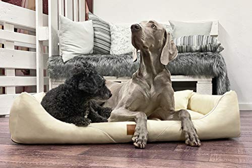 tierlando® Orthopädisches Hundebett William Easy-Clean | Luxus Hundesofa Kunstleder | Allergiker Anti-Haar | Memory Foam XL+ | Creme von tierlando