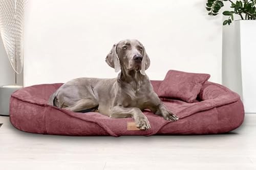 tierlando® Orthopädisches Hundebett Xenia | Kuschelig Flauschiges Hundesofa | Waschbar | Memory Foam XXL | Nude von tierlando