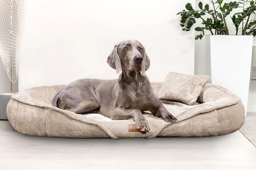 tierlando® Orthopädisches Hundebett Xenia | Kuschelig Flauschiges Hundesofa | Waschbar | Memory Foam XXXL | Beige von tierlando