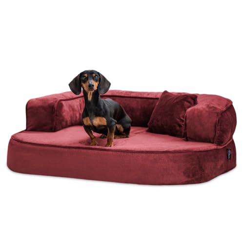tierlando® Orthopädisches Hundesofa Sharleen VISCO Plus Hundebett kuscheliger Teddystoff Größe: 80x60cm | Farbe: 29 Bordeaux von tierlando