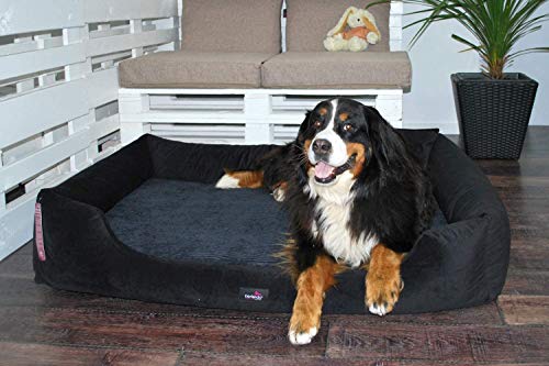 tierlando® Vincent Orthopädisches Hundebett | High-Tech-Velours Triton und Cord: edel und samtig weich | Mittel bis übergroß | Hundesofa Hundekorb Hundekissen (VI5 | 130 cm, 03 Schwarz) von tierlando