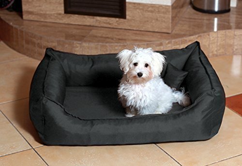 tierlando Donald Ortho Hundebett Anti Haar S M L XL XXL 60 80 100 120 150cm D3-02 Größe: 3 80x65cm | Farbe: 02 Graphit von tierlando