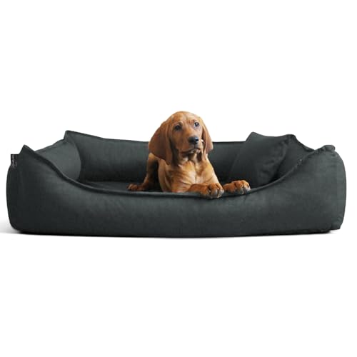 tierlando Donald Ortho Hundebett Anti Haar S M L XL XXL 60 80 100 120 150cm D3-02 Größe: 3 80x65cm | Farbe: 02 Graphit tierlando Donald Ortho Hundebett Anti Haar S M L XL XXL 60 80 100 120 150cm D3-02 Größe: 3 80x65cm | Farbe: 02 Graphit von tierlando