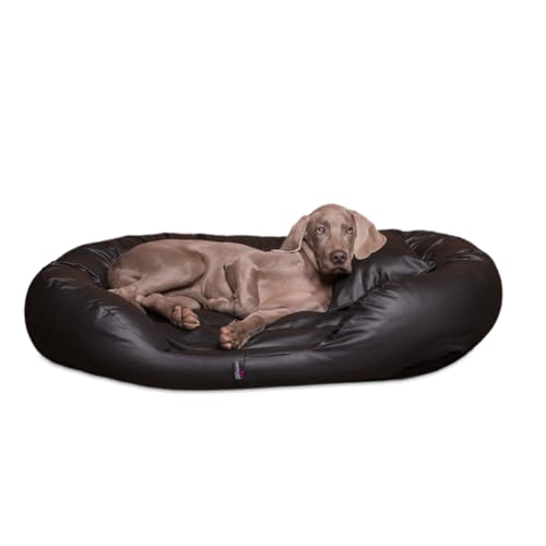 tierlando® Philip Hundebett aus edlem Kunstleder mit bequemer 4-Kammer-Matratze, pflegeleichtem Bezug und Stabiler Polsterung Größe: 140x100cm | Farbe: 03 Schwarz tierlando® Philip Hundebett aus edlem Kunstleder mit bequemer 4-Kammer-Matratze, pflegeleichtem Bezug und Stabiler Polsterung Größe: 140x100cm | Farbe: 03 Schwarz von tierlando