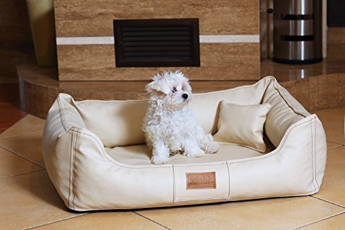 tierlando Maddox Komfort Hundebett Hundesofa Kunstleder S - XXL Größe: MN3-LL 80cm | Farbe: 05 Creme Beige von tierlando