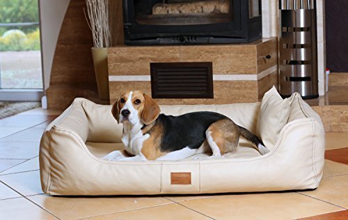 tierlando Maddox Komfort Hundebett Hundesofa Kunstleder S - XXL Größe: MN4-LL 100cm | Farbe: 05 Creme Beige von tierlando