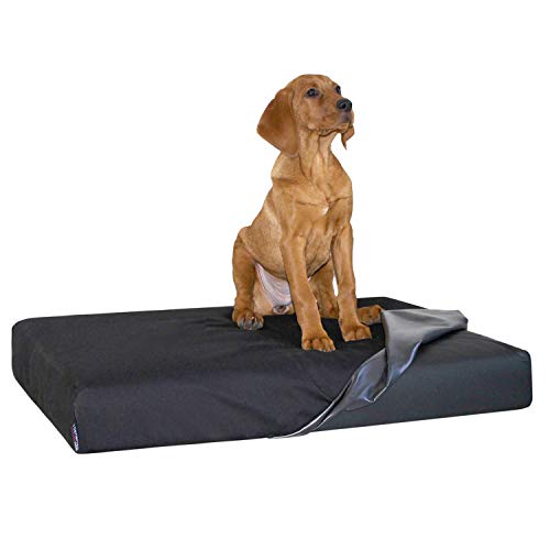 tierlando Quick-Cover Medic Matratzenschoner Modelle Hugo | Floki | Stuart (Gr. M Bett (MATRATZE 80x60 cm), 03 Schwarz) von tierlando