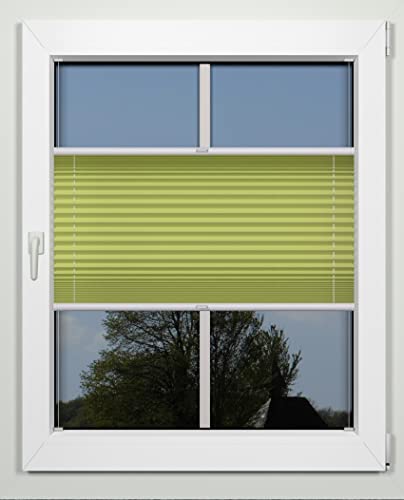 Plissee nach Maß Montage Glasleiste Blickdicht mit Spannschuh Sonnenschutzrollo (ahorngrün, Breite 61-70 cm Höhe 101-150 cm) von tilldekor