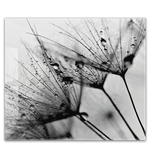 Herdabdeckplatte 60x52 cm einteilig – Schwarze Pusteblume mit Regentropfen, Tau, Natur Bild | ESG Glas Ceranfeldabdeckung, Schneidebrett, Abdeckplatte, Herd, Induktion, Küche Herdabdeckplatte 60x52 cm einteilig – Schwarze Pusteblume mit Regentropfen, Tau, Natur Bild | ESG Glas Ceranfeldabdeckung, Schneidebrett, Abdeckplatte, Herd, Induktion, Küche von timalo