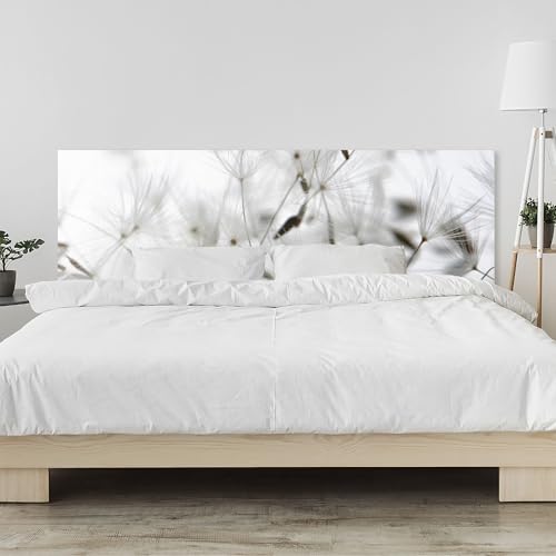 Kopfteil fürs Bett 220 x 58 cm | Pusteblume Löwenzahn, schwarz-weiß, Filigrane Samen | Schutz für Bettwand – Acrylglas 2 mm – Bettrückwand, modernes Wandpaneel Schlafzimmer von timalo