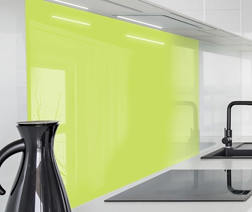 timalo Herd Spritzschutz Wand Platte Spüle, Küche Küchenrückwand Glasoptik | Acryl Glas 2mm | Glasrückwand Acrylglas Rückwandschutz Uni unifarben einfarbig | 120x60cm Pastellgrün, Grün von timalo