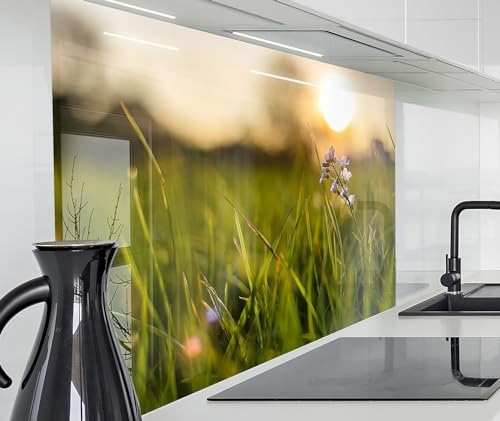timalo Herd Spritzschutz Wand Spüle, Küche Küchenrückwand Glasoptik | Acryl Glas 2mm | Glasrückwand Acrylglas Küchenpaneele Küchenspiegel | 100x50cm Wiese Natur Blumen von timalo