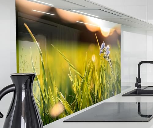 timalo Herd Spritzschutz Wand Spüle, Küche Küchenrückwand Glasoptik | Acryl Glas 2mm | Glasrückwand Acrylglas Küchenpaneele Küchenspiegel | 60x40cm Wiese Natur Blumen von timalo