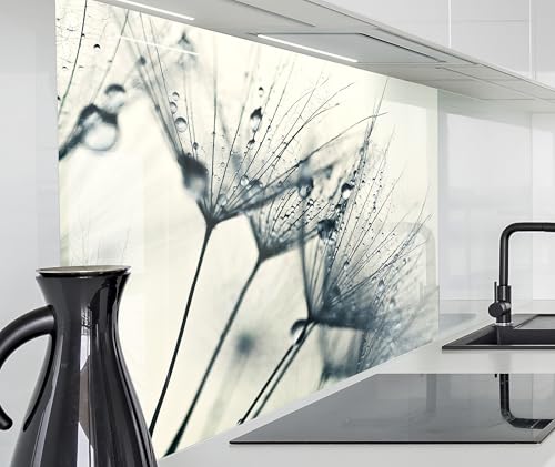 timalo Herd Spritzschutz Wand Spüle, Küche Küchenrückwand Glasoptik | Acryl Glas 2mm | Glasrückwand Acrylglas Küchenpaneele Küchenspiegel | 60x60cm Löwenzahn Regen Pusteblumen von timalo