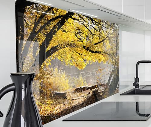 timalo Herd Spritzschutz Wand Spüle, Küche Küchenrückwand Glasoptik | Acryl Glas 2mm | Glasrückwand Acrylglas Küchenpaneele Rückwandschutz Platte | 120x80cm Wald Herbst Blätter von timalo