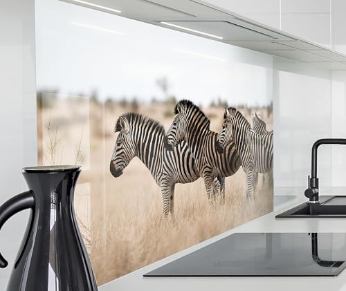 timalo Herd Spritzschutz Wand Spüle, Küche Küchenrückwand Glasoptik | Acryl Glas 2mm | Glasrückwand Acrylglas Küchenpaneele Rückwandschutz Platte | 60x40cm Afrika Zebras Savanne von timalo