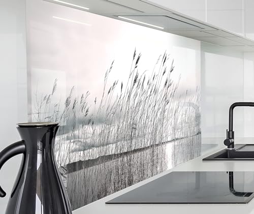 timalo Herd Spritzschutz Wand Spüle, Küche Küchenrückwand Glasoptik | Acryl Glas 2mm | Glasrückwand Acrylglas Küchenpaneele Rückwandschutz Platte | 60x52cm See Schilf Pampasgras von timalo