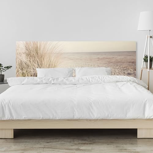 timalo Kopfteil fürs Bett 100 x 50 cm | Meer Düne Pampasgras Sand Strand Nordsee | Wandschutz hinter dem Bett – Acrylglas 2 mm – Wandpaneel & Bettrückwand, dekorative Wanddeko von timalo