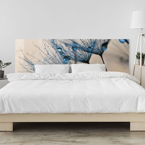 timalo Kopfteil fürs Bett 100 x 50 cm | Pusteblume, Wassertropfen, Natur, Löwenzahn, Blumen | Acrylglas Kopfende Bettrückwand, Wandschutz & Wandverkleidung Schlafzimmer Bett von timalo