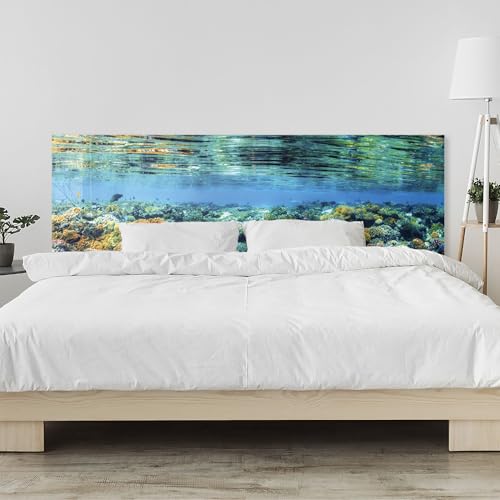 timalo Kopfteil fürs Bett 100 x 50 cm | Unterwasser, Meer, Korallenriff, Bunte Korallen | Acrylglas Dekoplatte – 2 mm – Wandpaneel Schlafzimmer, Wandschutz Bett von timalo