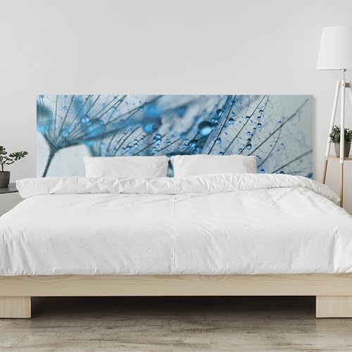 timalo Kopfteil fürs Bett 120 x 60 cm | Blaue Pusteblume mit Regentropfen, Tau, Naturmotiv | Acrylglasplatte Dekor – 2 mm – Wandpaneel Schlafzimmer, Bettrückwand/Wandschutz, edler Look von timalo