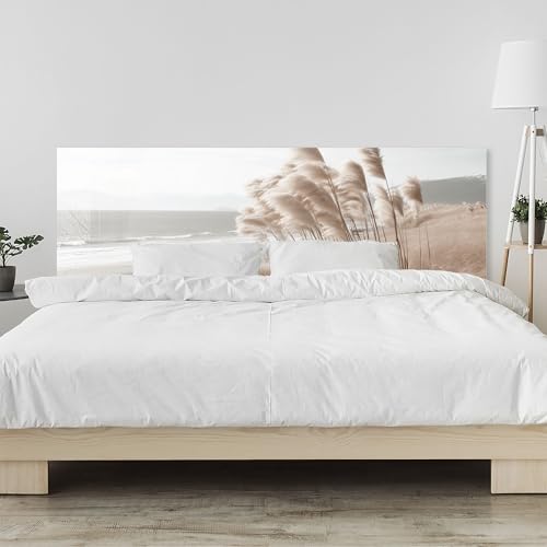 timalo Kopfteil fürs Bett 120 x 80 cm | Natur, Strand – Pampasgras, Dünen, Beige, Boho | Bettrückwand aus Acrylglas Acryl wie Glas – Wandschutz & Wandpaneel Schlafzimmer, Kopfende von timalo