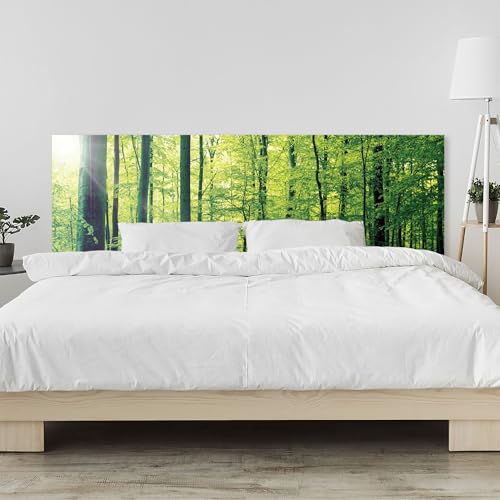timalo Kopfteil fürs Bett 140 x 50 cm | Wald grüne Bäume, Natur Landschaft | Bett Kopfende – 2 mm Acrylglas – Wandschutz Bett & Bettrückwand, Pflegeleichte Oberfläche von timalo