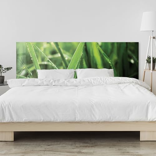 timalo Kopfteil fürs Bett 170 x 58 cm | Gras mit Tautropfen Natur, grüne Wiese | Moderne Bettrückwand – Acrylglas (PMMA) 2 mm – Wandpaneel & Wandschutz fürs Schlafzimmer von timalo