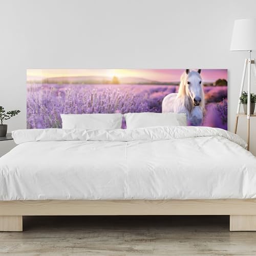 timalo Kopfteil fürs Bett 170 x 58 cm | Weißes Pferd Lavendel, Natur | Acrylglasplatte 2 mm – Bettrückwand/Wandschutz Bett, Pflegeleichte Wandverkleidung Schlafzimmer von timalo